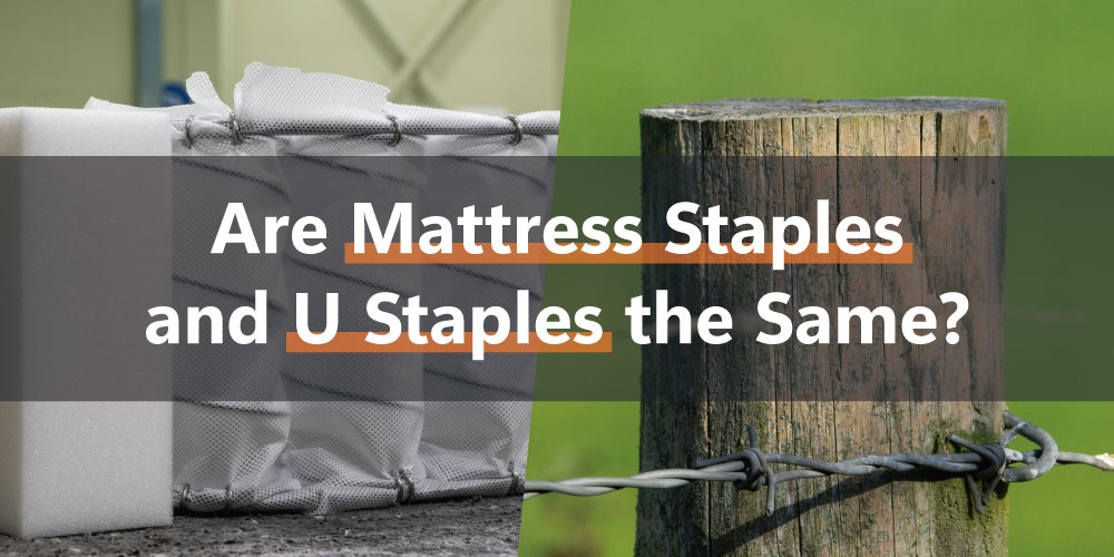 Are-Mattress-Staples-and-U-Staples-the-Same