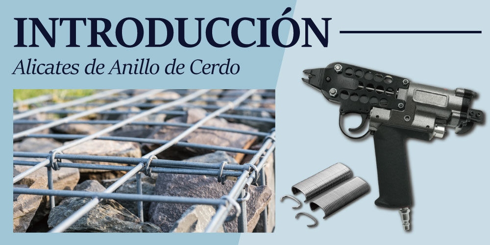 Breve-Introduccion-a-las-Alicates-de-Anillo-de-Cerdo