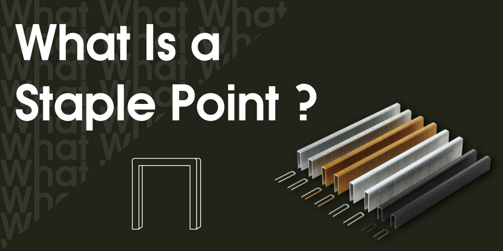 What-Is-a-Staple-Point