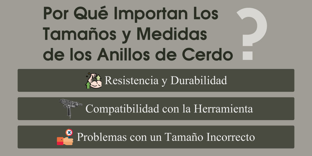 por-que-importan-los-tamanos-y-medidas-de-los-anillos-de-cerdo